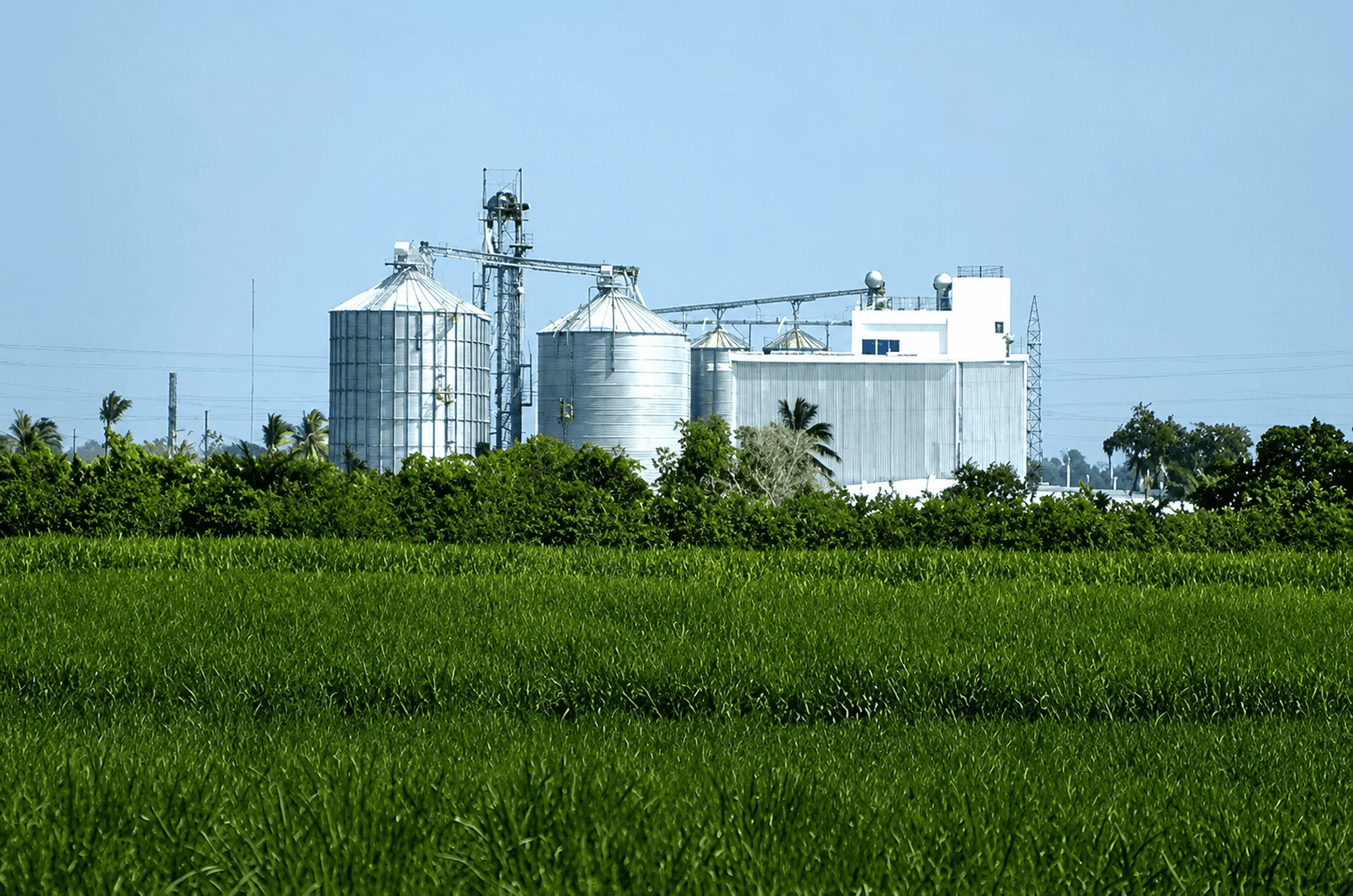 Planta de producción de Molinos del Higuamo