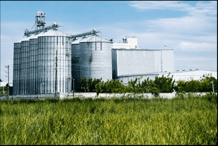 Entorno de la planta de Molinos del Higuamo